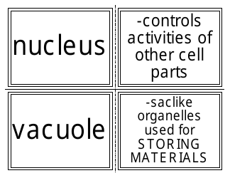 Biology Flashcards - Cell Parts, Page 3