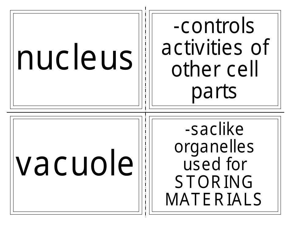 Biology Flashcards - Cell Parts, Page 3
