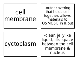 Biology Flashcards - Cell Parts, Page 4