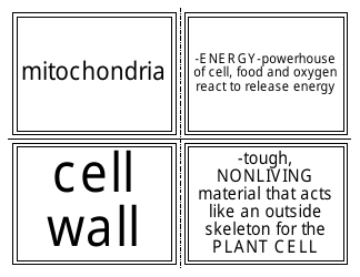 Biology Flashcards - Cell Parts, Page 5