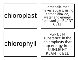 Biology Flashcards - Cell Parts, Page 6