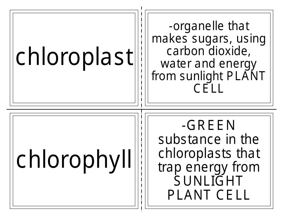 Biology Flashcards - Cell Parts, Page 6