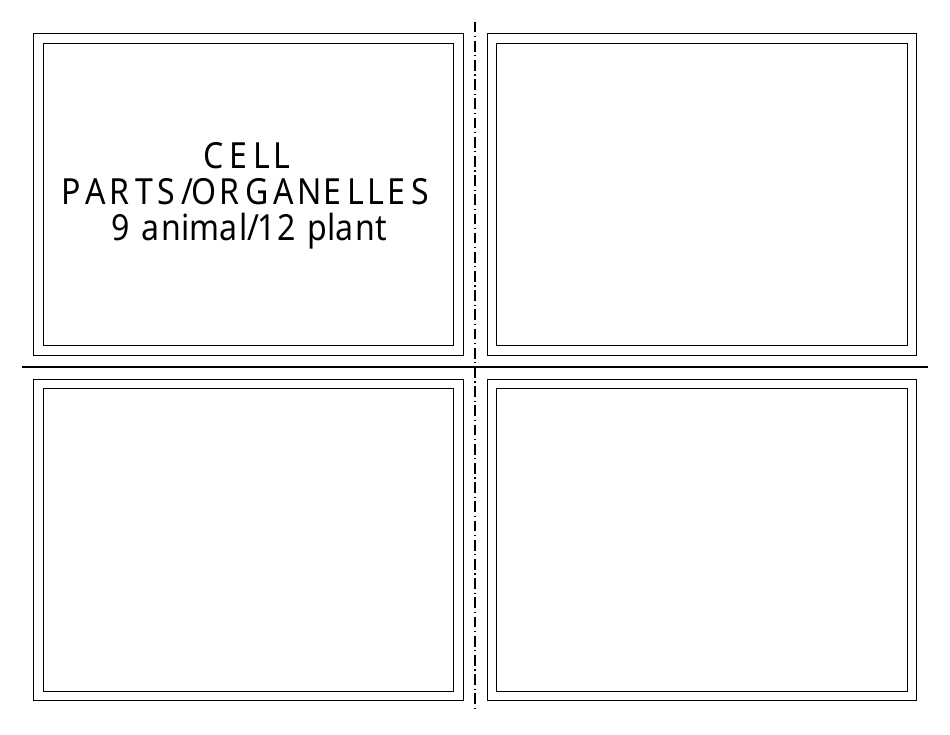 Biology Flashcards - Cell Parts, Page 7