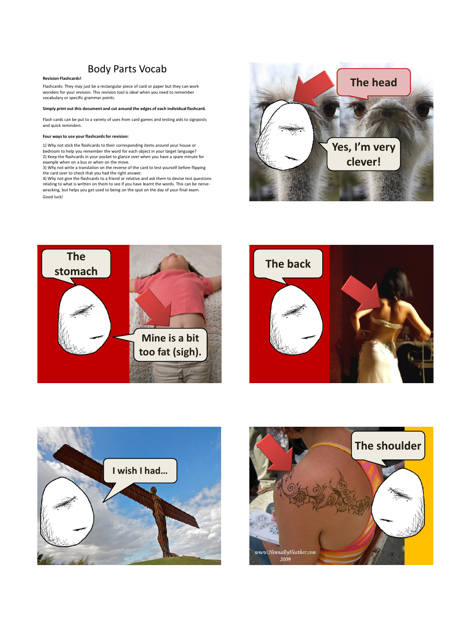 English Vocab Revision Flashcards - Body Parts, Page 1