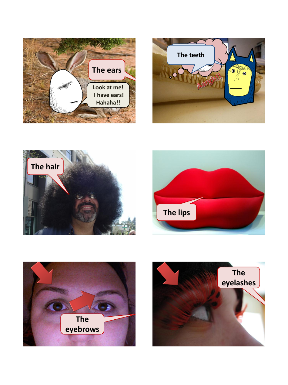 English Vocab Revision Flashcards - Body Parts, Page 4