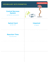 Document preview: Vocabulary With Phonetics Flashcards - Central Nervous System