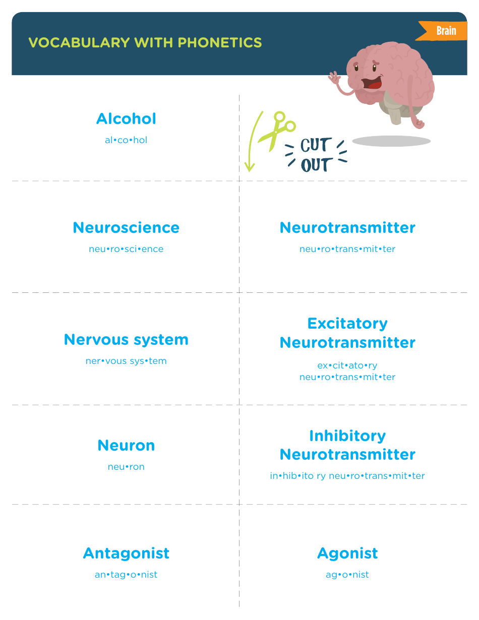 Vocabulary With Phonetics Flashcards - Brain, Page 1