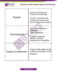 Neet Biology Flashcards - Digestion and Absorption, Page 10