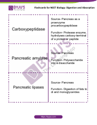 Neet Biology Flashcards - Digestion and Absorption, Page 11