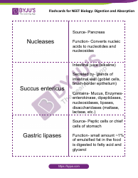 Neet Biology Flashcards - Digestion and Absorption, Page 12