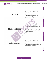 Neet Biology Flashcards - Digestion and Absorption, Page 14