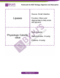 Neet Biology Flashcards - Digestion and Absorption, Page 15