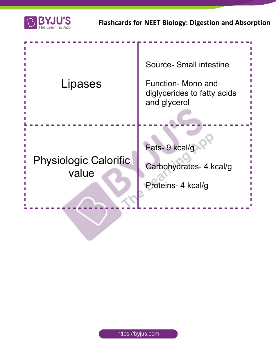 Neet Biology Flashcards - Digestion and Absorption, Page 15