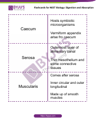 Neet Biology Flashcards - Digestion and Absorption, Page 3