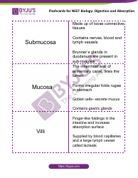 Neet Biology Flashcards - Digestion and Absorption, Page 4