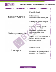 Neet Biology Flashcards - Digestion and Absorption, Page 5