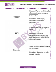 Neet Biology Flashcards - Digestion and Absorption, Page 6
