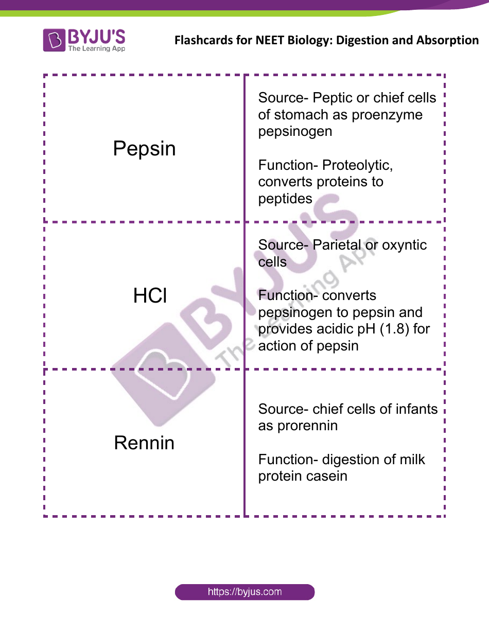 Neet Biology Flashcards - Digestion and Absorption, Page 6