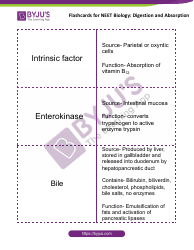 Neet Biology Flashcards - Digestion and Absorption, Page 7