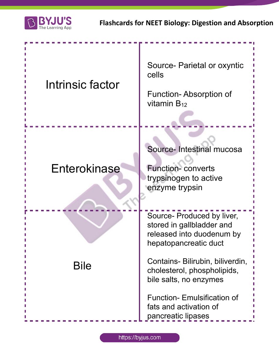 Neet Biology Flashcards - Digestion and Absorption, Page 7