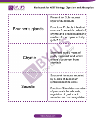 Neet Biology Flashcards - Digestion and Absorption, Page 8