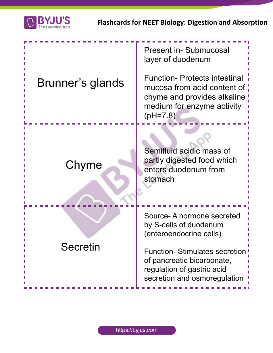 Neet Biology Flashcards - Digestion and Absorption, Page 8