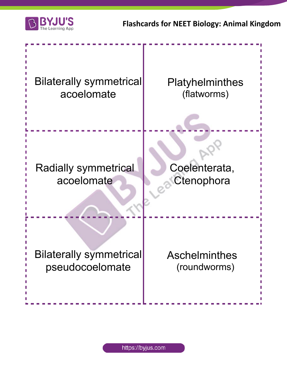 Neet Biology Flashcards Animal Kingdom Download Printable PDF