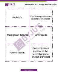 Neet Biology Flashcards - Animal Kingdom, Page 4