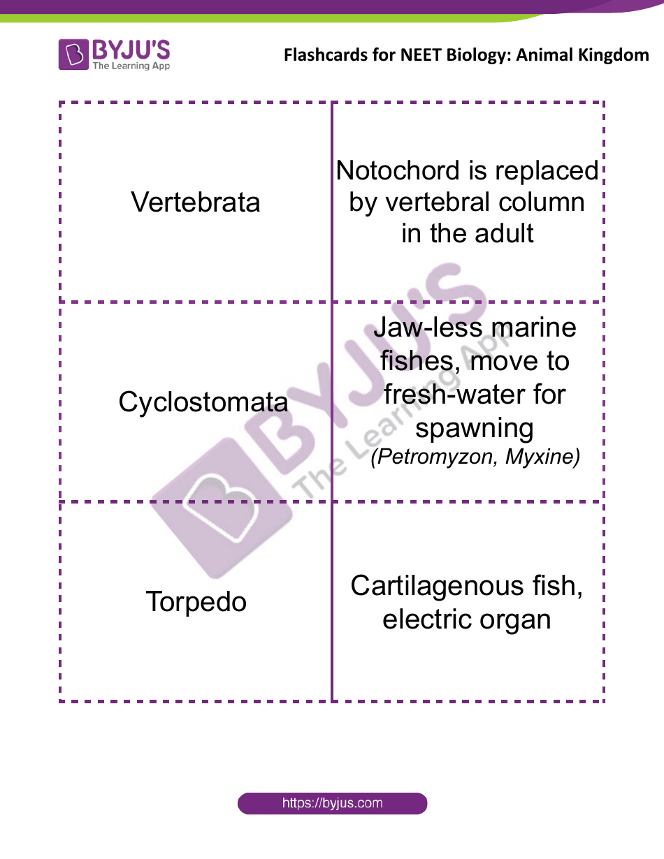 Neet Biology Flashcards - Animal Kingdom, Page 6