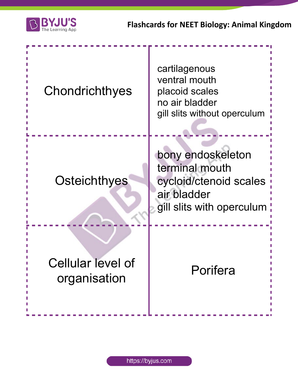 Neet Biology Flashcards - Animal Kingdom, Page 7
