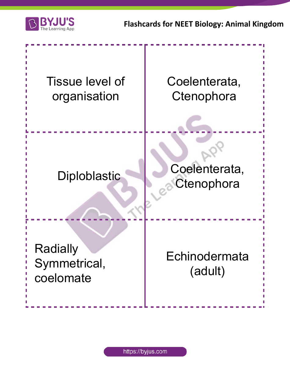 Neet Biology Flashcards - Animal Kingdom, Page 8