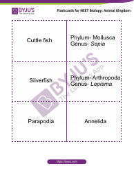 Neet Biology Flashcards - Animal Kingdom, Page 9