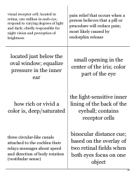 Psychology Terms Flashcards - Sensation &amp; Perception, Page 18