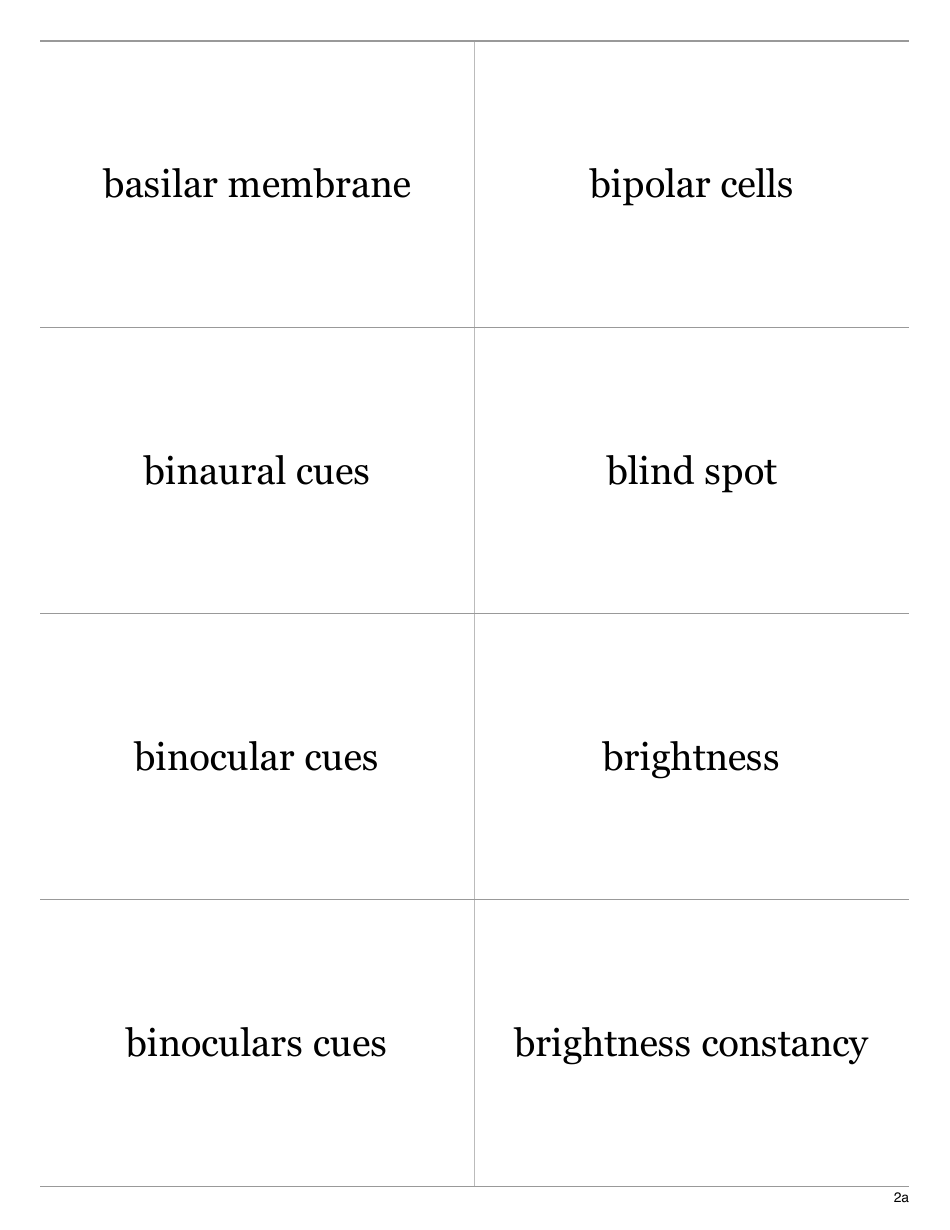 Psychology Terms Flashcards - Sensation  Perception, Page 3