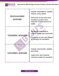 Neet Biology Flashcards - Excretory Products and Their Elimination