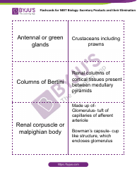 Neet Biology Flashcards - Excretory Products and Their Elimination, Page 3