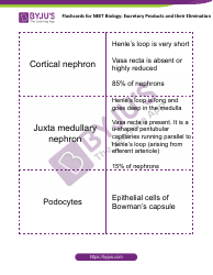 Neet Biology Flashcards - Excretory Products and Their Elimination, Page 4