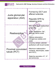 Neet Biology Flashcards - Excretory Products and Their Elimination, Page 5