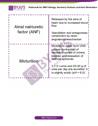 Neet Biology Flashcards - Excretory Products and Their Elimination, Page 8