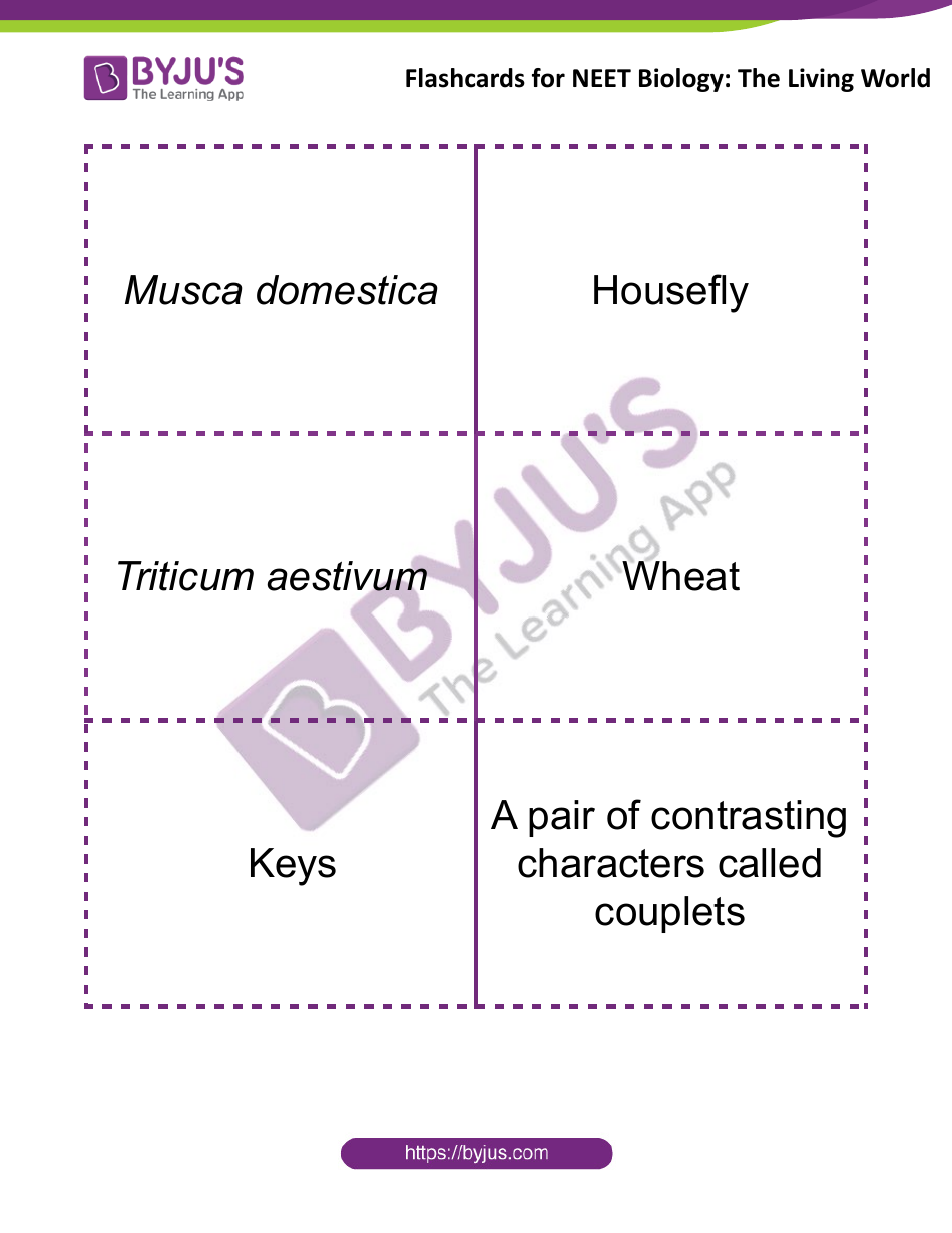 Neet Biology Flashcards - the Living World, Page 3