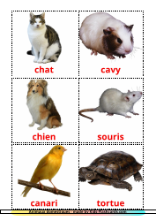 Document preview: French Flashcards - Domestic Animals