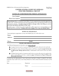 Document preview: Form 8B Notice of Unrepresented Person Appearance