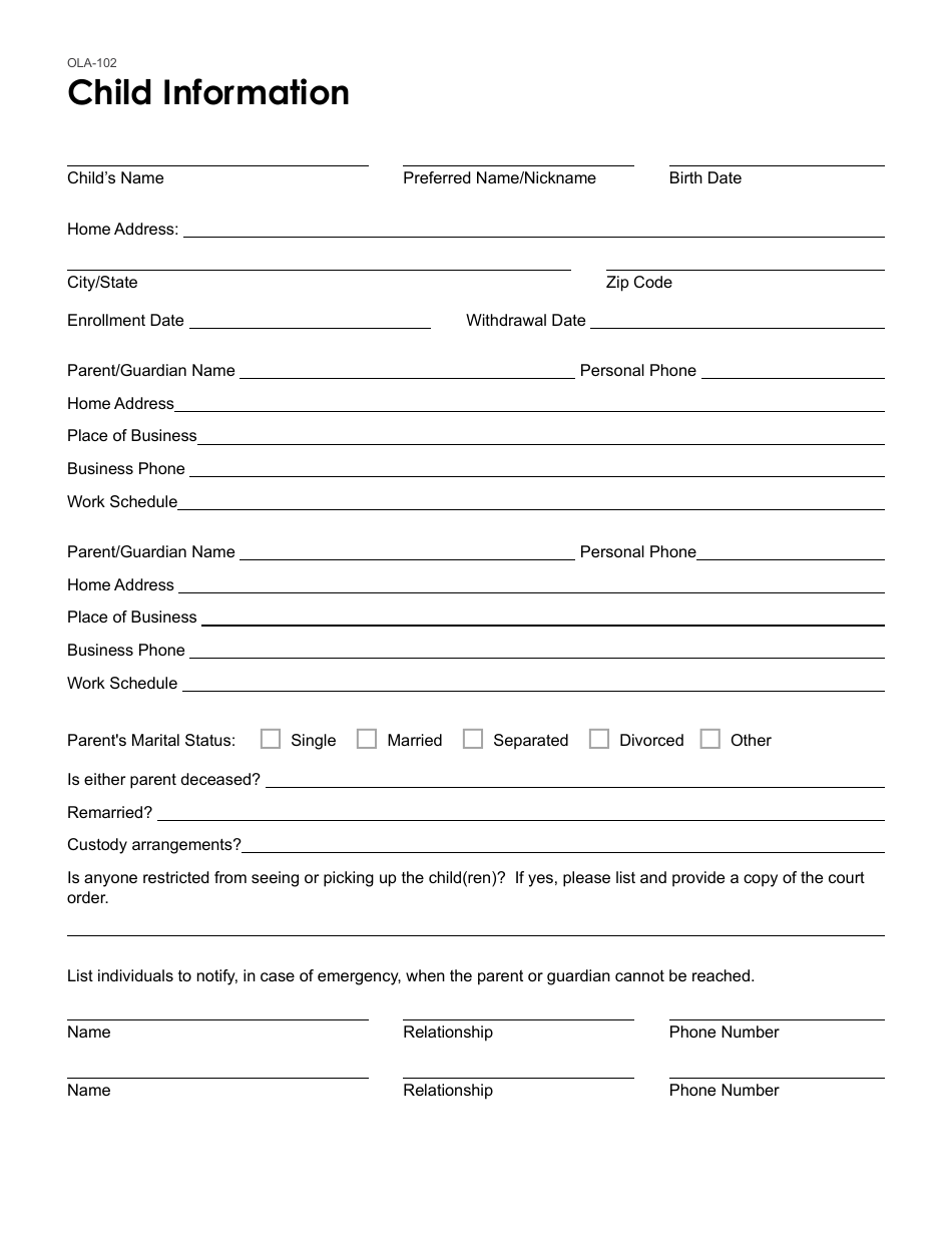 Form OLA-102 - Fill Out, Sign Online and Download Fillable PDF, South ...