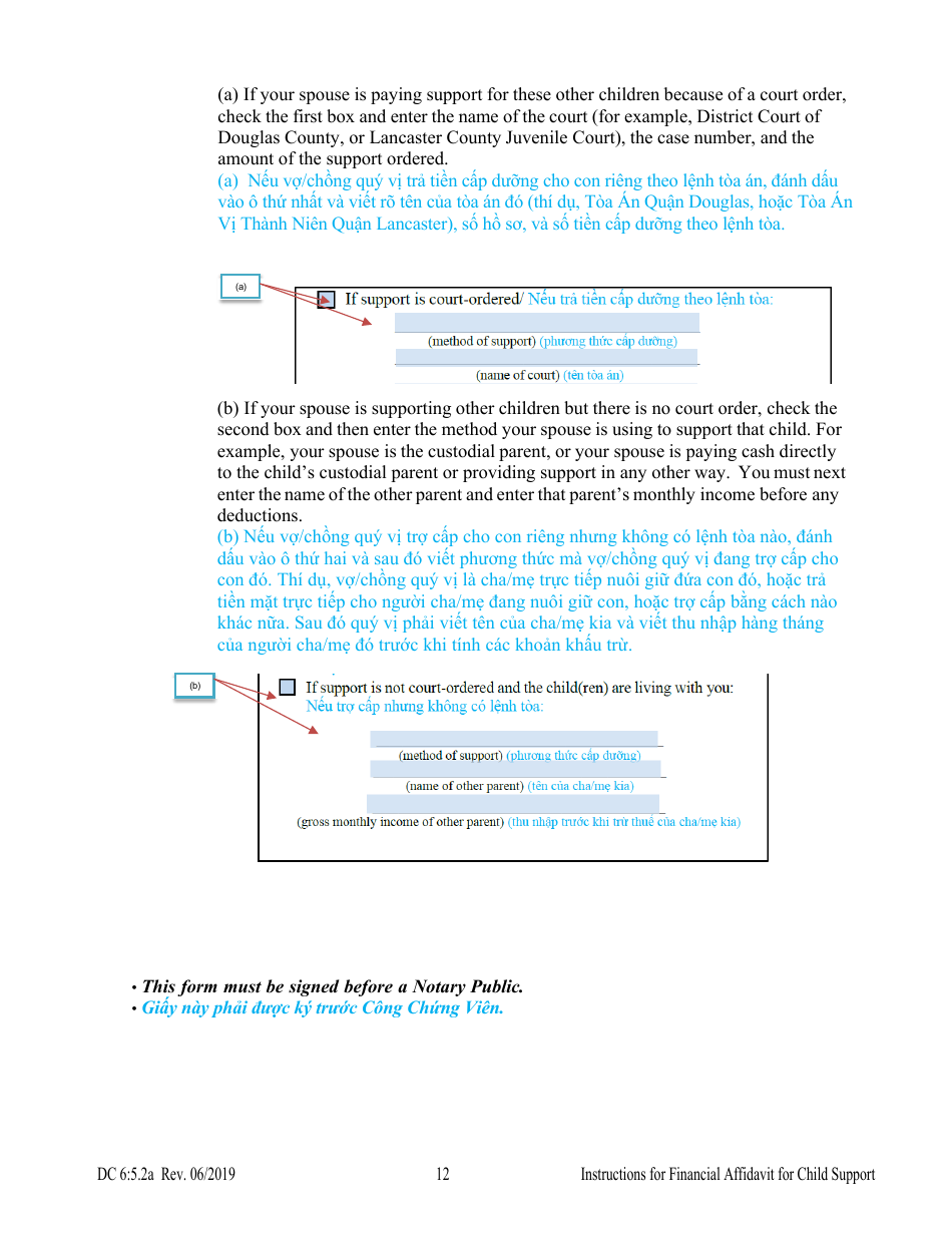 Instructions for Form DC6:5.2 Financial Affidavit for Child Support - Nebraska (English / Vietnamese), Page 12