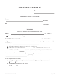 Document preview: Form 41 Trial Brief - British Columbia, Canada