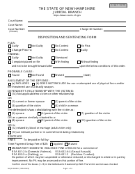 Form NHJB-3228-D Disposition and Sentencing Form - New Hampshire