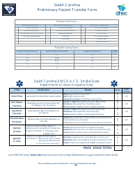 Preliminary Patient Transfer Form - South Carolina, Page 2