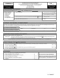Document preview: Form CHAR500-C Combined Annual Financial Report - New York