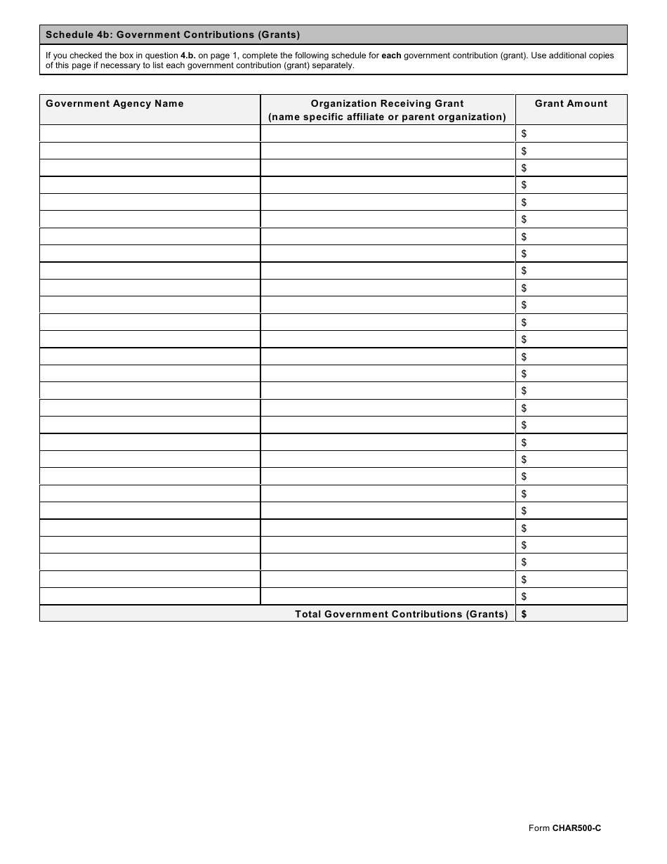 Form CHAR500-C Combined Annual Financial Report - New York, Page 4
