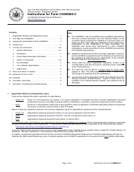 Document preview: Instructions for Form CHAR500-C Combined Annual Financial Report - New York